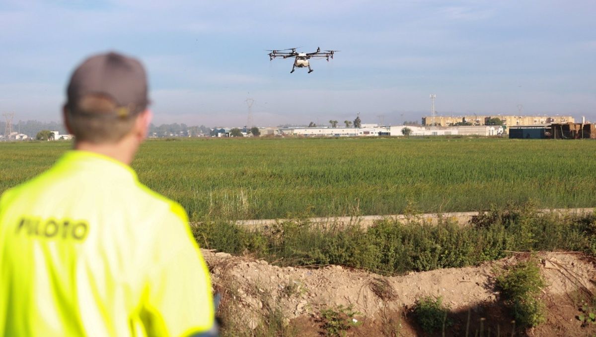 Tareas contra los mosquitos mediante drones (Fuente: Europa Press)