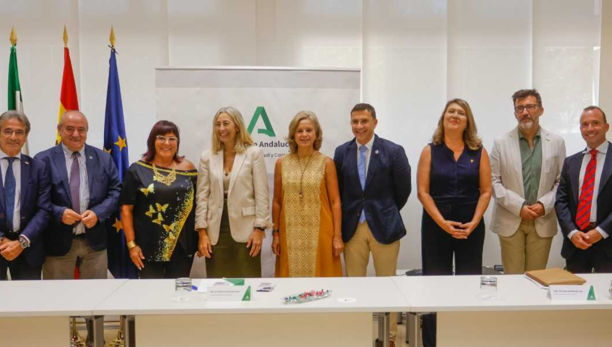 La consejera de Salud, Rocío Hernández, junto a representantes del Consejo Andaluz de Colegios de Enfermería. (CAE)