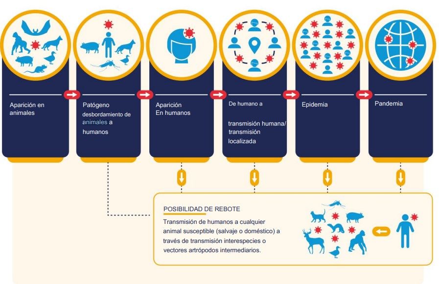 Etapas de emergencia de la transmisión