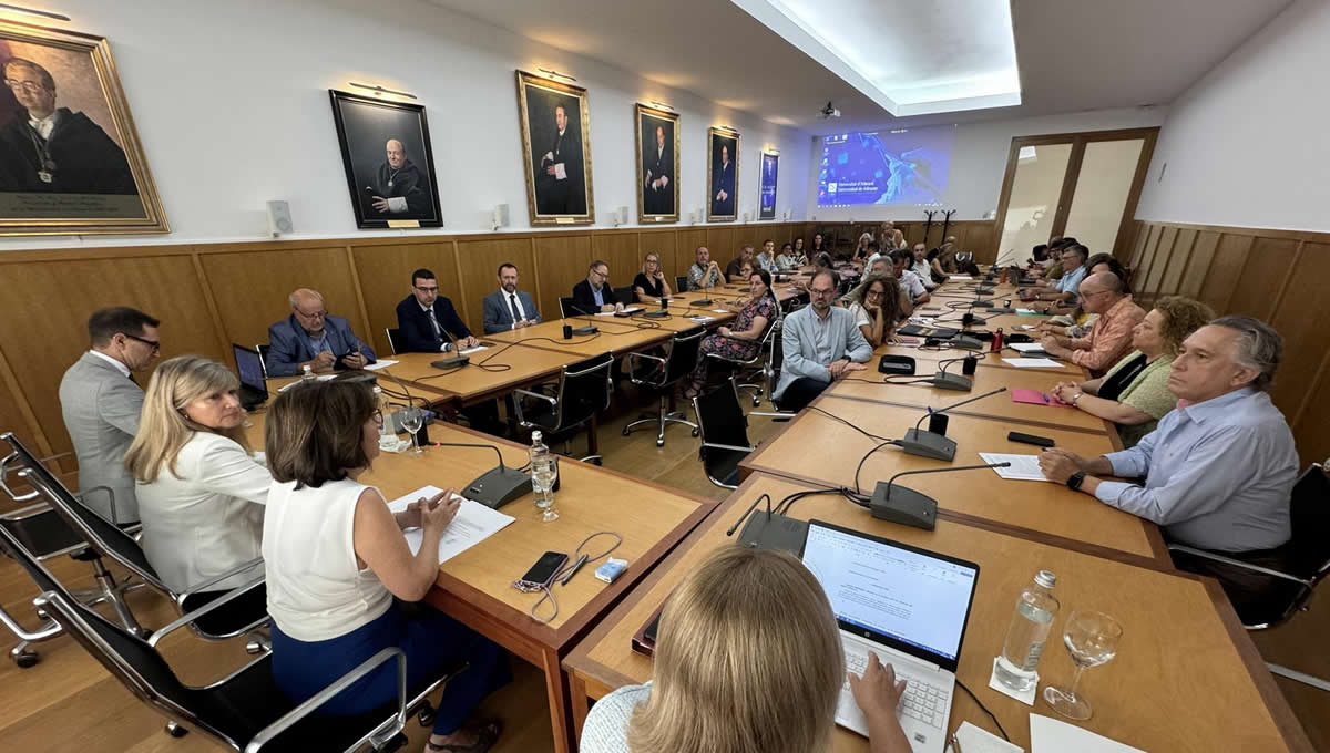 Consejo de Gobierno de la Universidad de Alicante (FOTO: UA)