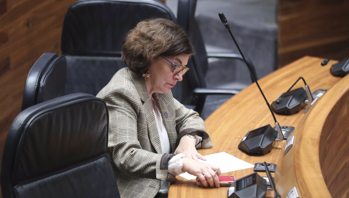 La consejera de Salud de Asturias, Concepción Saavedra, en el parlamento regional. (EP)