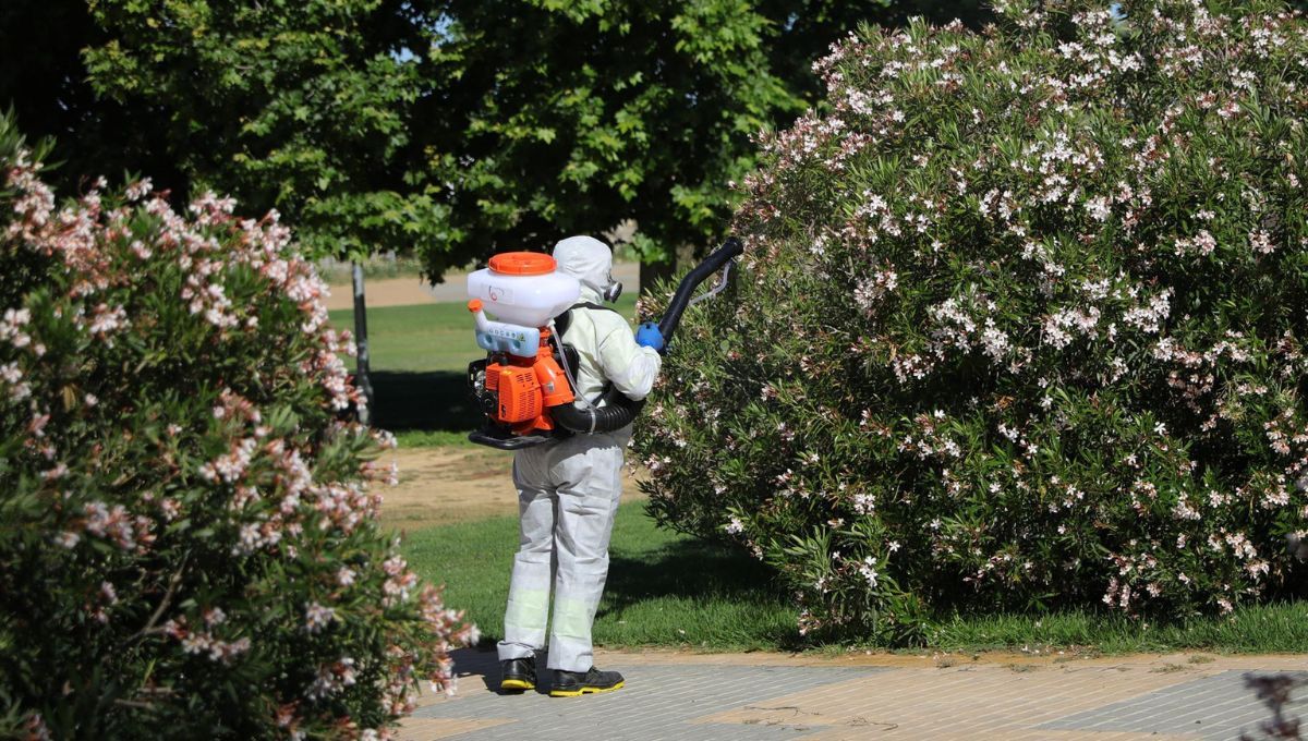 Operario llevando a cabo labores de fumigación contra los mosquitos transmisores del Virus del Nilo en la provincia de Jaén (Fuente EP)