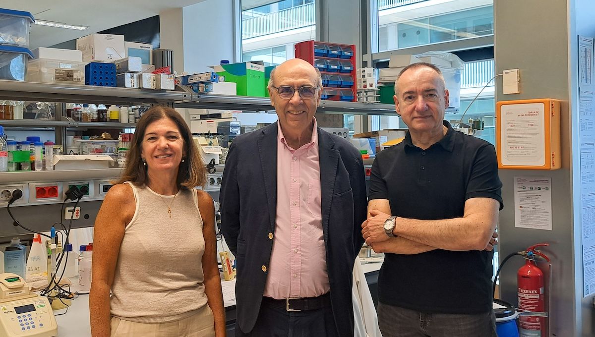 Los profesores de la Universitat Pompeu Fabra Olga Valverde, Ferran Sanz y Manuel Pastor, involucrados en el proyecto. (Foto: Pompeu Fabra)