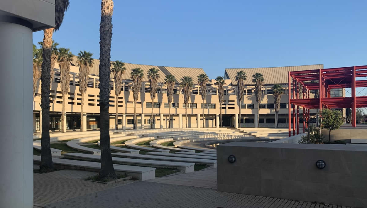 Campus de Medicina de la Universidad de Alicante (FOTO: UA)