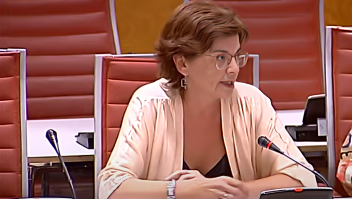 María Carmen Da Silva Méndez, senadora del BNG, defendiendo la moción en la Comisión de Sanidad del Senado. (CS)