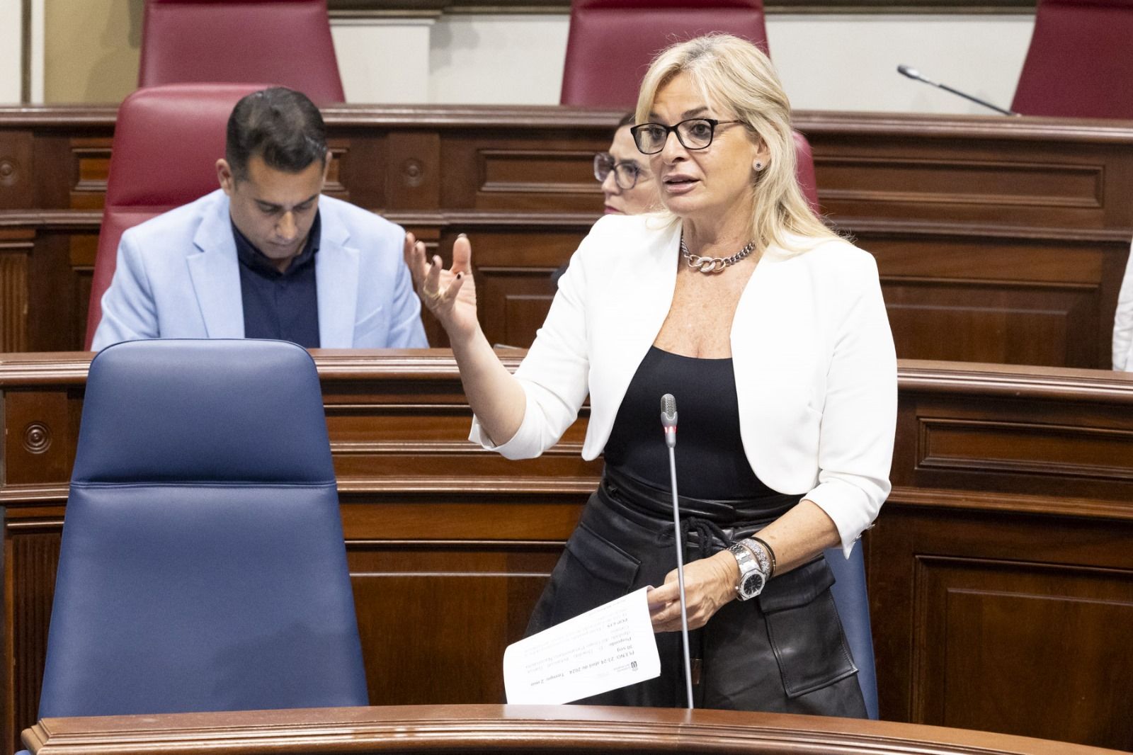 Esther Monzón, consejera de Sanidad, en una intervención en el Parlamento de Canarias (Fuente: Gobierno de Canarias)