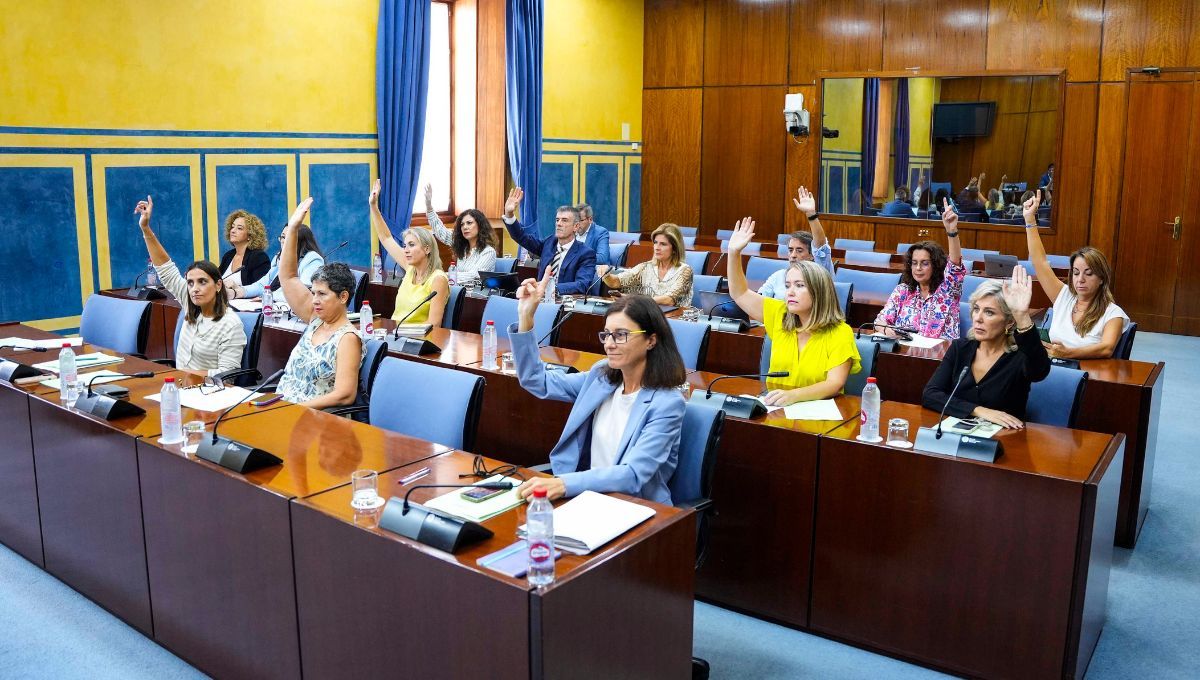 El Parlamento de Andalucía ha aprobado este martes en su Comisión de Salud la Proposición de Ley sobre gratuidad de los productos ópticos y de salud visual (Fuente Parlamento de Andalucia)