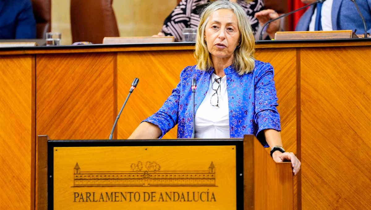 La consejera de Salud y Consumo, Rocío Hernández, interviene en el Pleno del Parlamento andaluz (Foto: Joaquín Corchero)