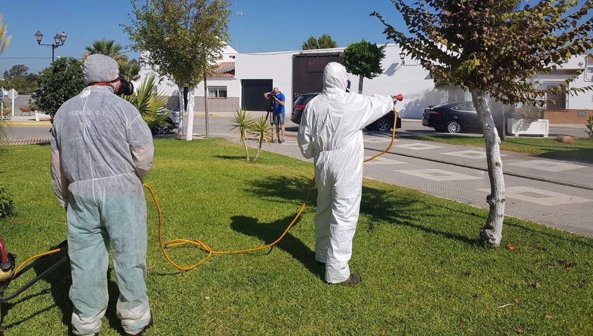 Labores de fumigación en Los Palacios, en Sevilla. (Foto: Ayuntamiento Los Palacios / Europa Press)