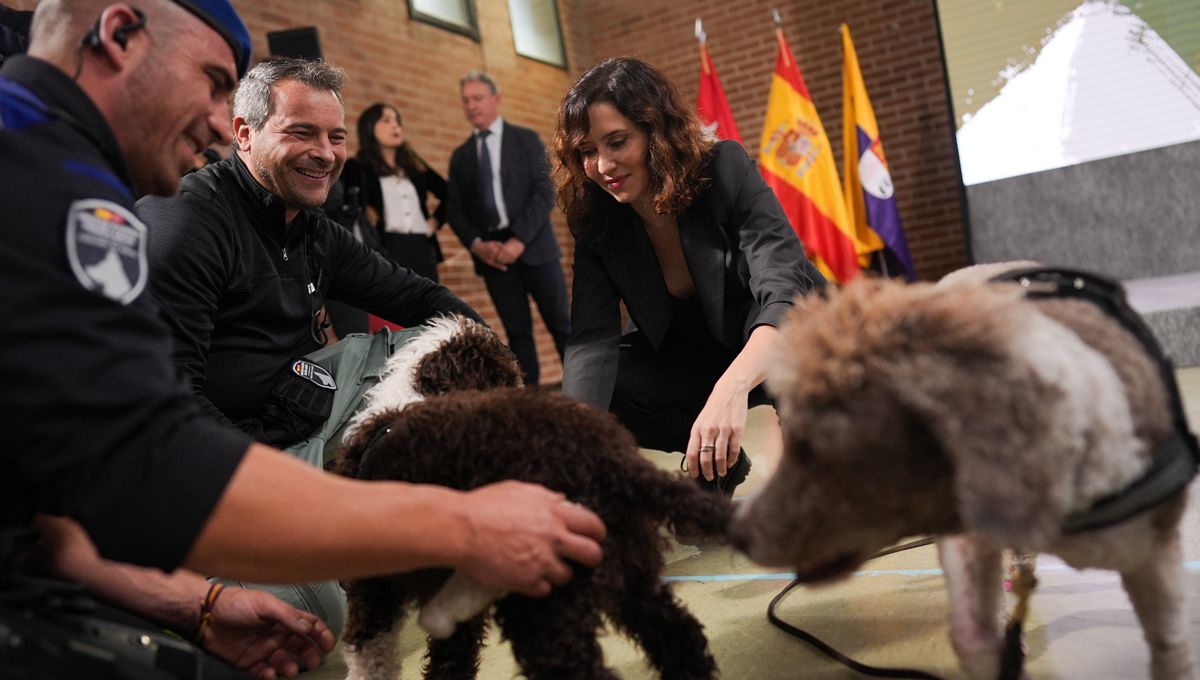 Unidades caninas de las policías locales que detectan sustancias ilegales. Foto CAM