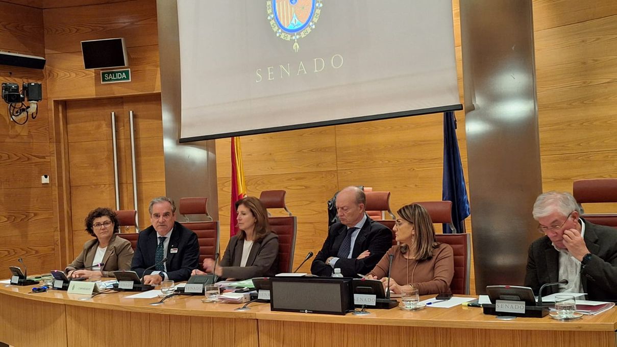 Comparecencia ante el Senado Farmacéuticos sobre su papel en la salud mental (Foto: CGCOF)