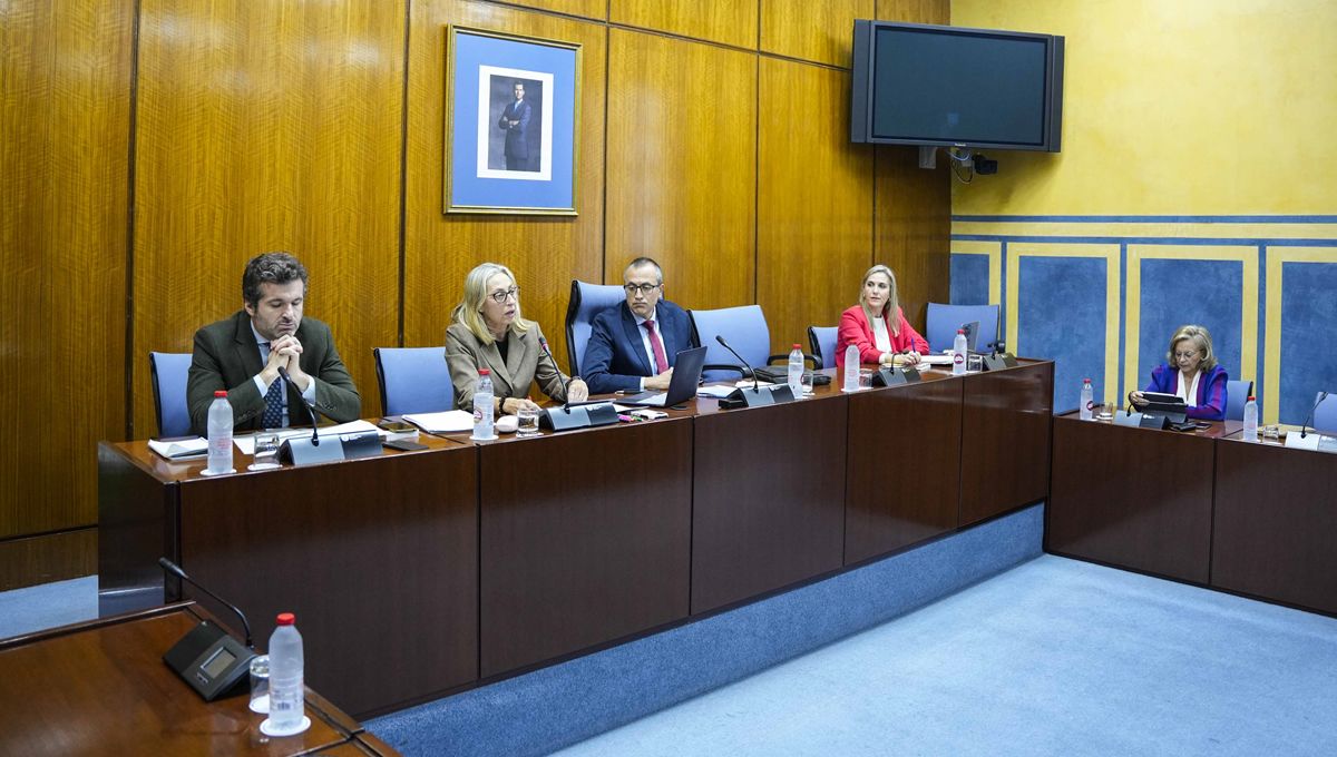 Rocío Hernández, consejera de Salud y Consumo de Andalucía en comisión parlamentaria (Foto. Junta de Andalucía)