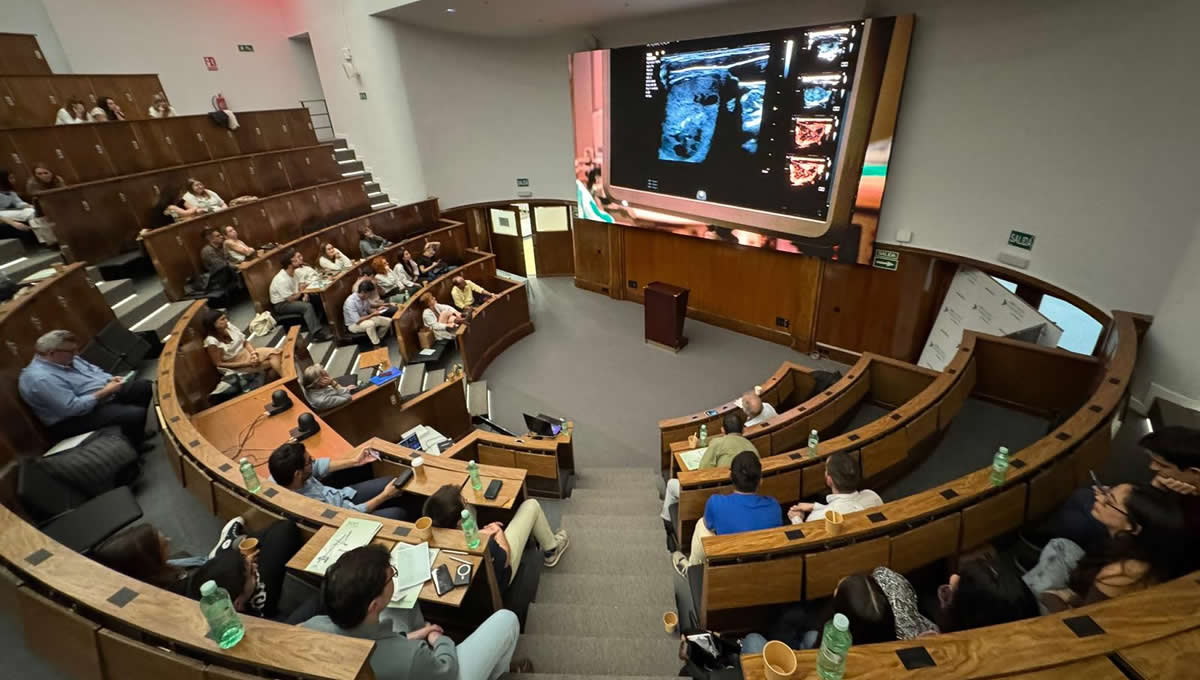 I Jornada teórico práctica de termoablación en patología tiroidea en la FJD. (Foto: Fundación Jiménez Díaz)