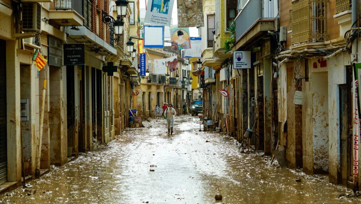 Zona afectada por la DANA (Foto. @defensagob)