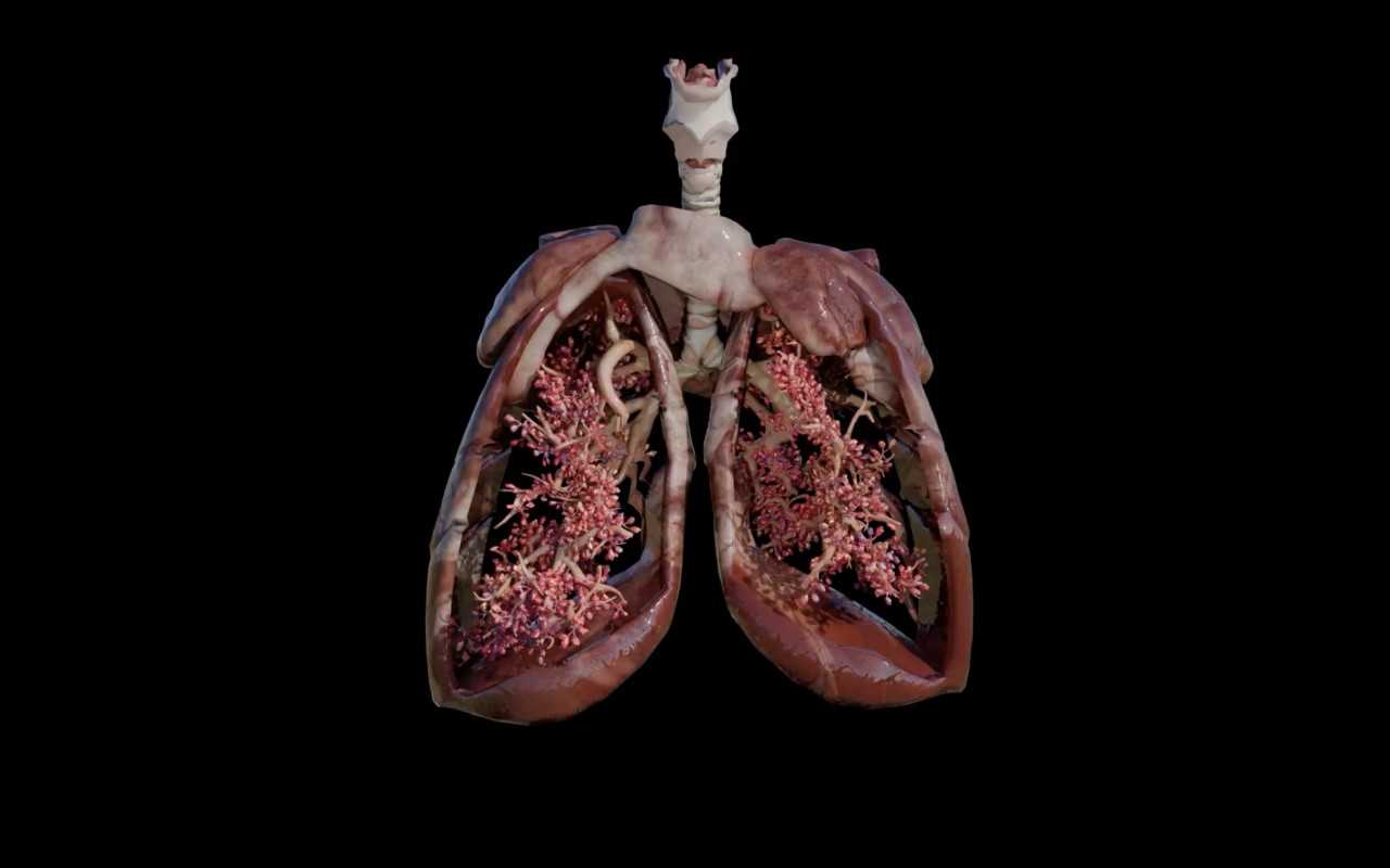 AstraZeneca crea el modelo holográfico de un “pulmón que late” para visibilizar la estrecha relación entre el corazón y los pulmones