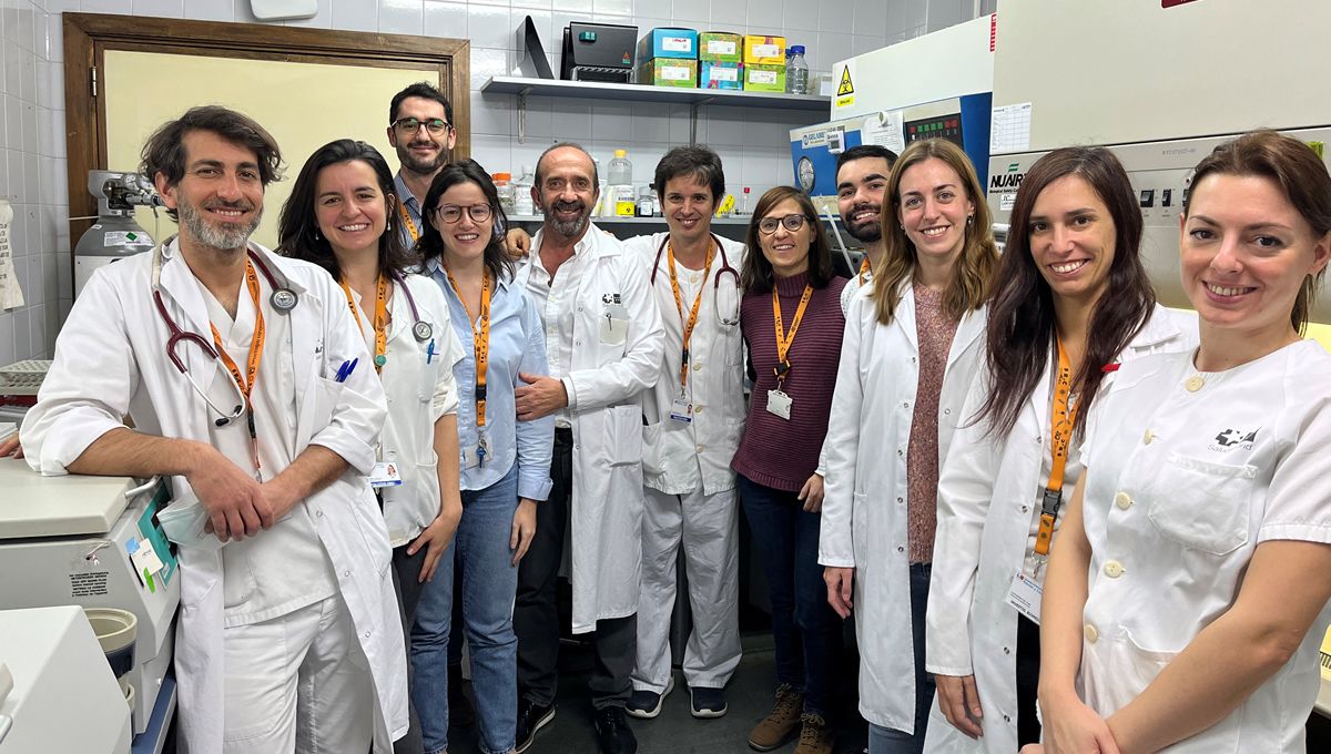 El CIBER demuestra que los trasplantes de microbiota fecal reducen la inflamación en personas con VIH (Foto: CIBER)