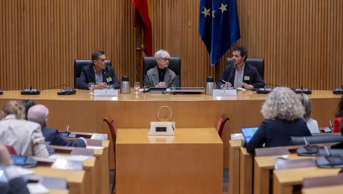 Imagen de la Jornada de FEDE en el Congreso. (Foto: FEDE)