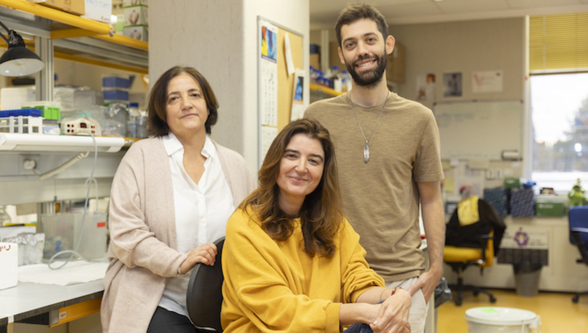 Ana Losada, Ana Cuadrado y Daniel Giménez Llorente (Foto: Laura M. Lombardía/CNIO)