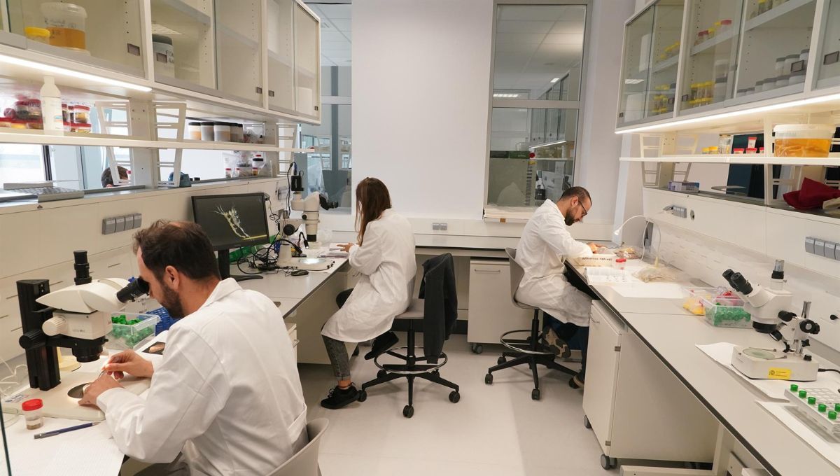 Científicos trabajando en los laboratorios de la nueva sede del Centro Oceanográfico (Foto: Álex Zea- EP)