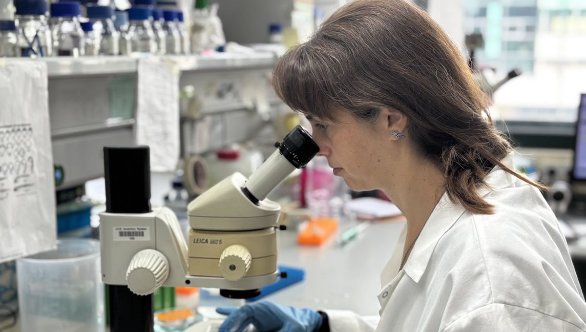 La investigadora Barbara Pernaute, en su laboratorio del CABD. (Foto: CSIC)