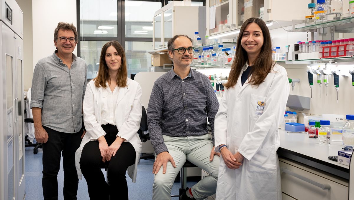 Investigadores del IRB responsables de esta investigación sobre autismo. (Foto: IRB Barcelona)