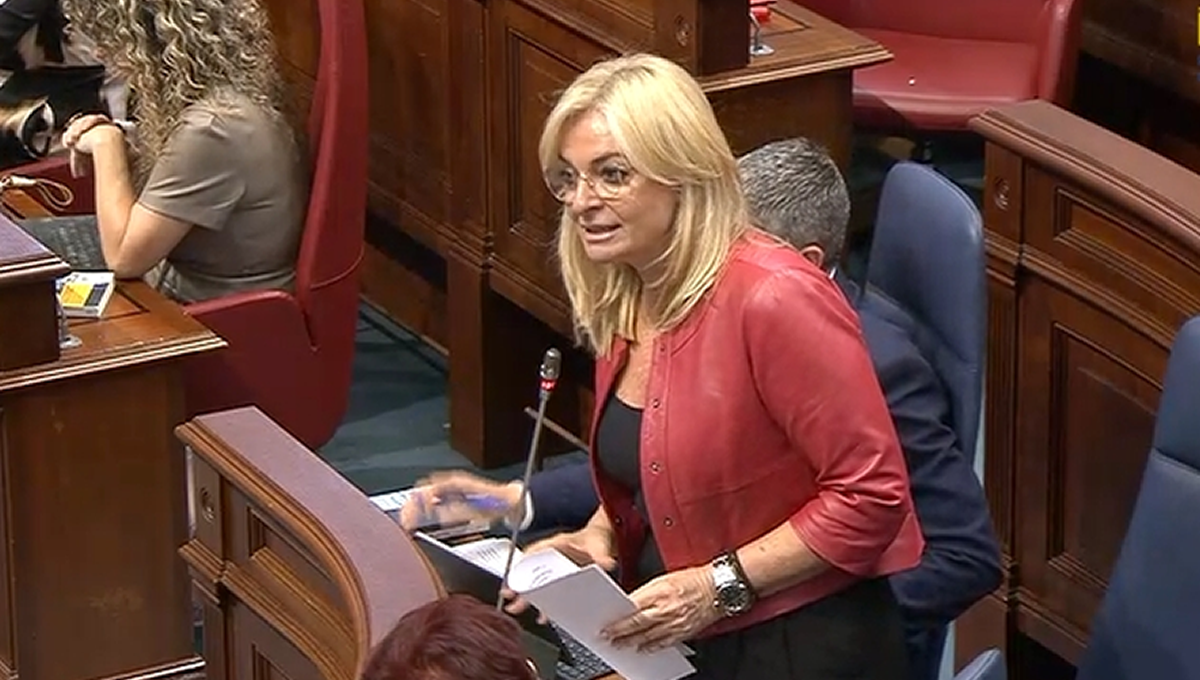 La consejera de Sanidad del Gobierno de Canarias, Esther Monzón, en el Pleno del Parlamento regional (Foto: Canarias)