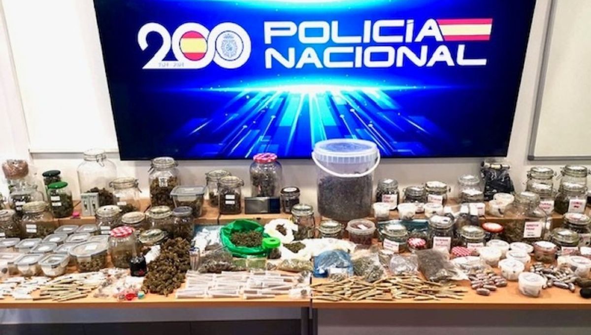 Marihuana medicinal incautada (Foto: Policía Nacional)