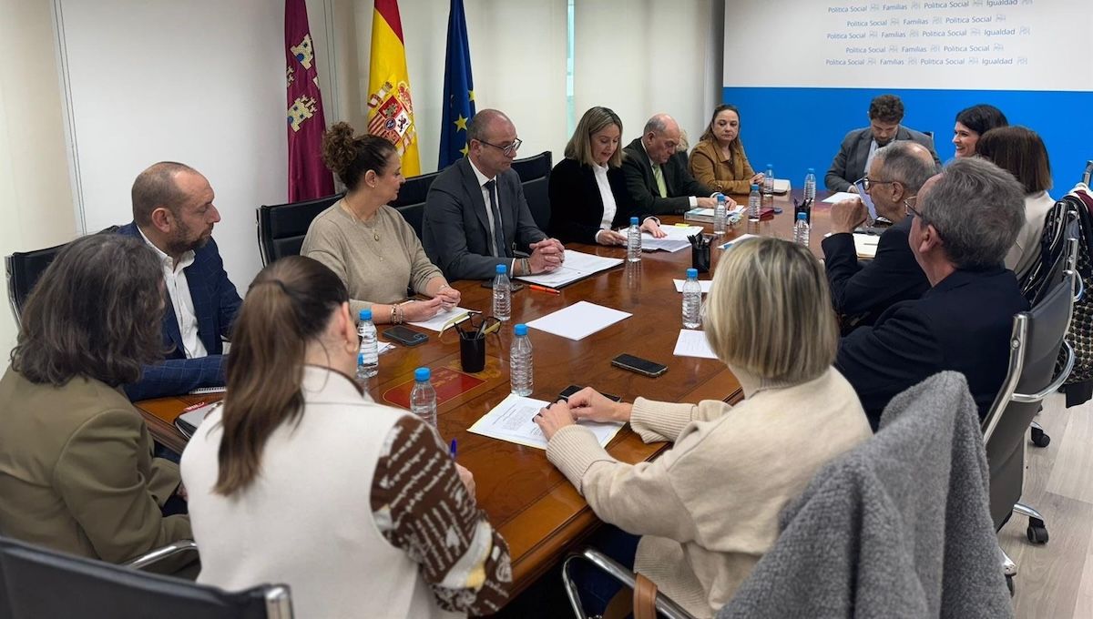 Consejeros durante la Comisión Regional de Atención Temprana. (Foto: Gobierno de Murcia)