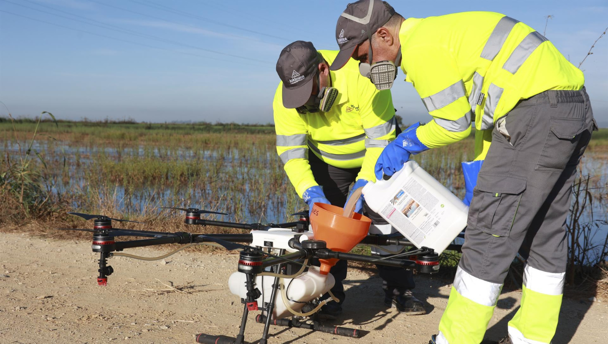 Andalucía captura un 139% más de mosquitos en 2024 (Foto: Europa Press)