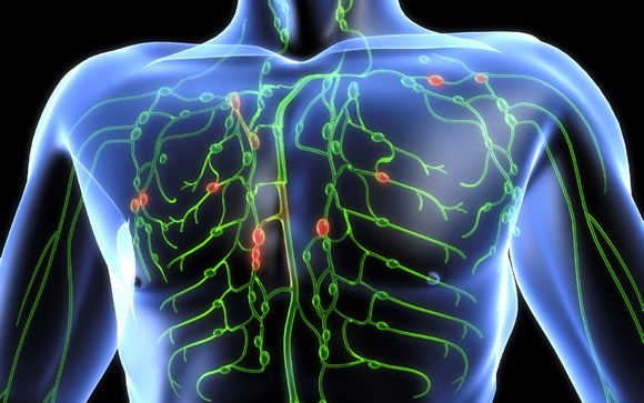 La Inmunoquimioterapia Mejora El Pronóstico De Los Pacientes Con El ...