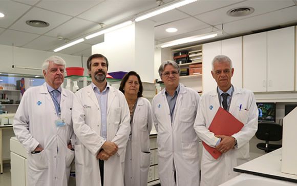 El equipo responsable de la investigación.