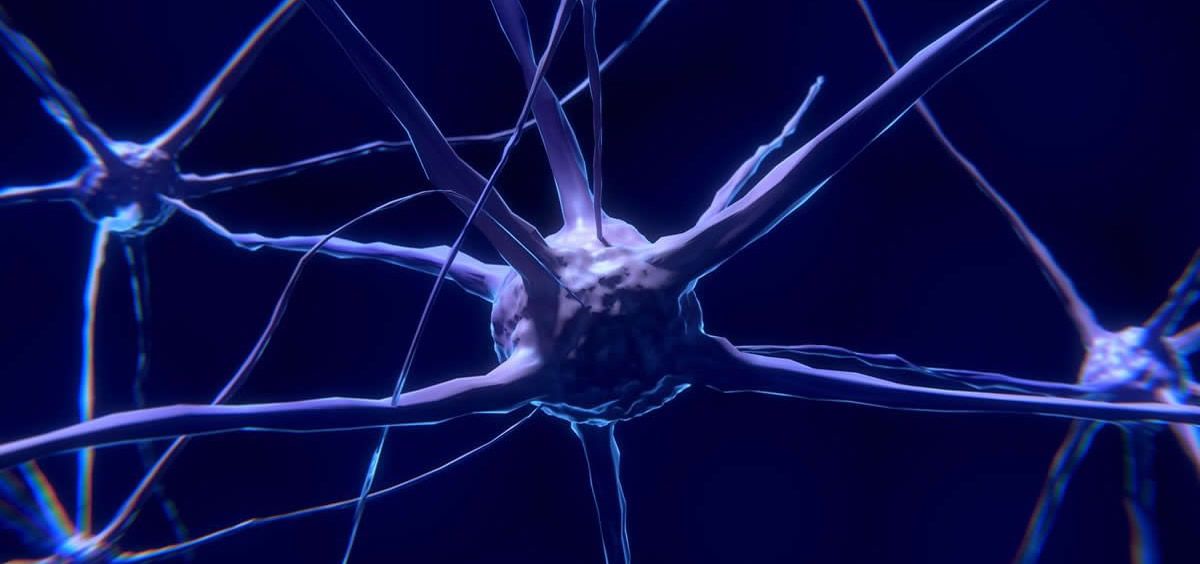 Detectan Alteraciones De La Conectividad Neuronal Distrib...